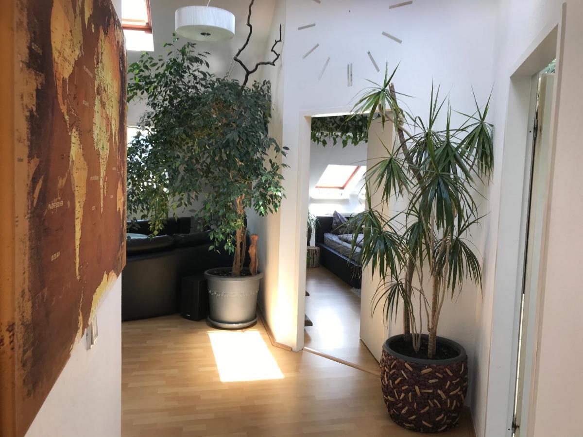 Stadtdschungel Fewo Mit Balkon Cottbus Eksteriør bilde